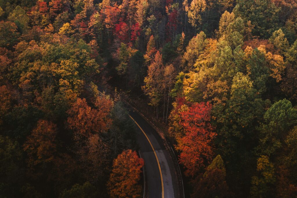 Eres Structure Automne 2025