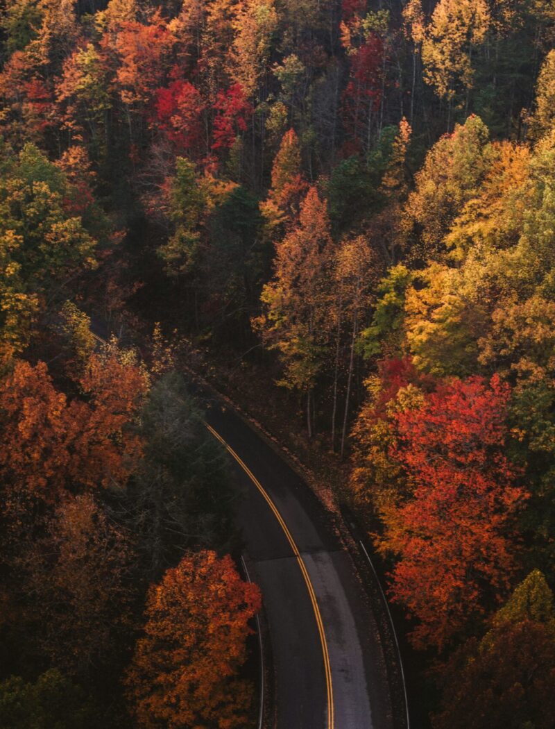 Eres Structure Automne 2025